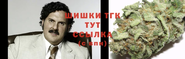дурь Арсеньев