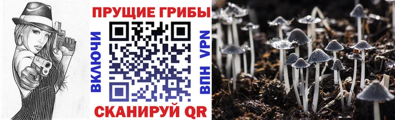 купить наркотик Макарьев Псилоцибиновые грибы ЛСД